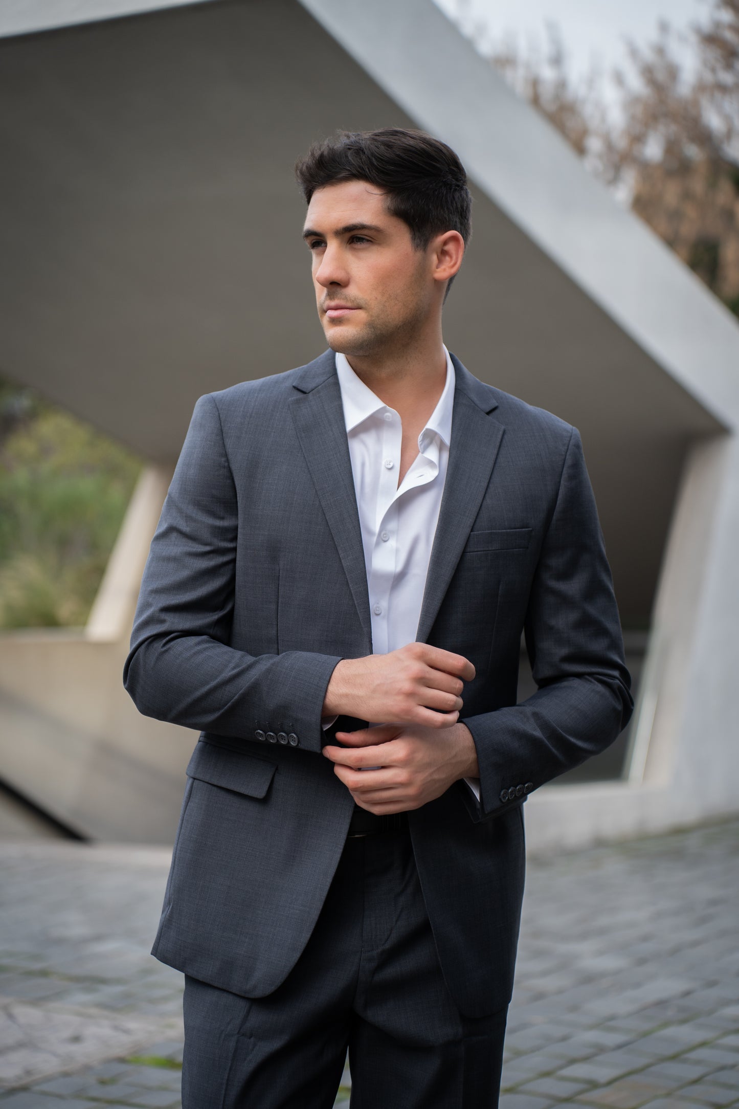 Traje Slim Fit Dos Piezas Marengo