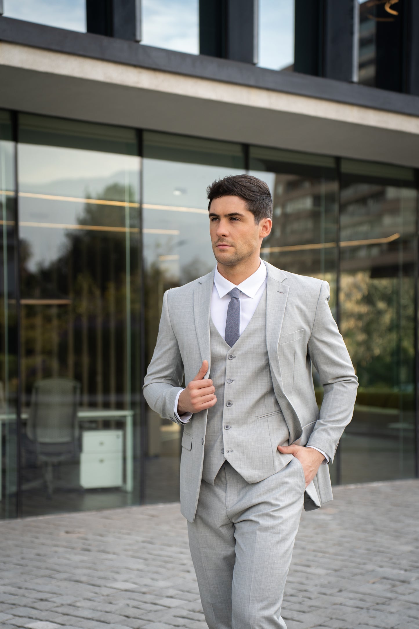 Traje Slim Fit Dos Piezas Gris